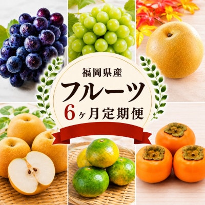 【発送月固定定期便】福岡県　フルーツ6ヶ月定期便(6月～11月)全6回