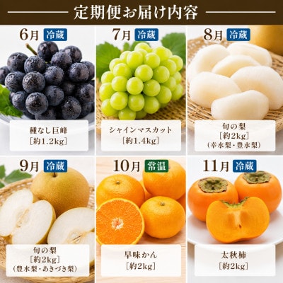 【発送月固定定期便】福岡県　フルーツ6ヶ月定期便(6月～11月)全6回