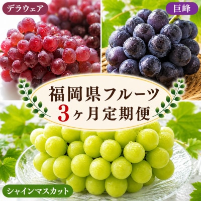 【発送月固定定期便】福岡県　フルーツ3ヶ月定期便(5月～7月)全3回