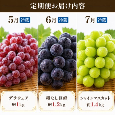 【発送月固定定期便】福岡県　フルーツ3ヶ月定期便(5月～7月)全3回