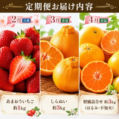 【発送月固定定期便】福岡県　フルーツ定期便(2月～4月)全3回