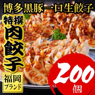 【200個!!】【福岡ブランド】博多黒豚一口生餃子 8パック小分　福岡県産ラー麦皮使用 (福岡県)