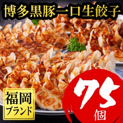 【75個!!】【福岡ブランド】博多黒豚一口生餃子 3パック小分　福岡県産ラー麦皮使用 (福岡県)