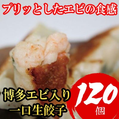 博多エビ入り一口生餃子 120個 小分けに便利な8パック　創業40年以上福岡老舗会社製造 (福岡県)