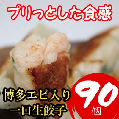 博多エビ入り一口生餃子 90個 小分けに便利な6パック　創業40年以上福岡老舗会社製造 (福岡県)