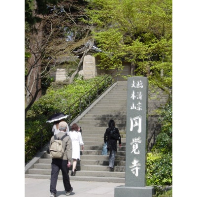 鎌倉タクシー観光(ジャンボタクシー) 定員9名様