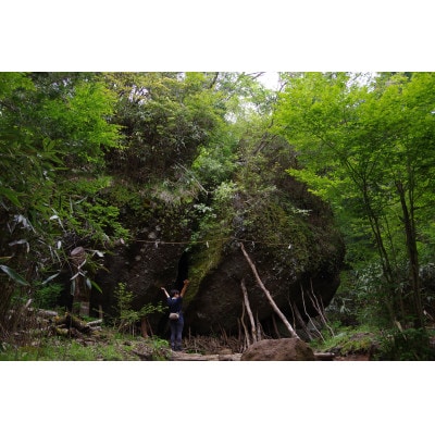 国立公園箱根の名山「金時山」登山ツアー
