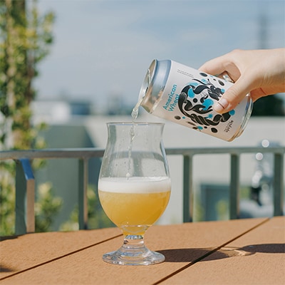 【神奈川の恵みに乾杯!】クラフトビール2社飲み比べセット(3本×2社)【複数個口で配送】