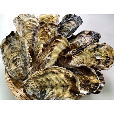 【生食用】深層水仕込みの殻付き真牡蠣　10個セット