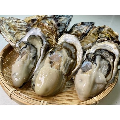 【生食用】深層水仕込みの殻付き真牡蠣　10個セット
