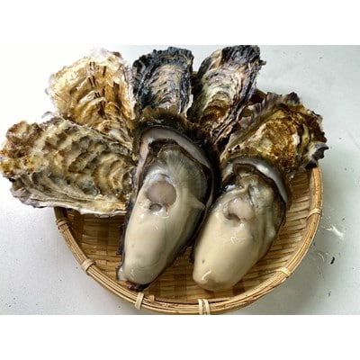 【生食用】深層水仕込みの殻付真牡蠣・岩牡蠣【真牡蠣5個・岩牡蠣2個セット】