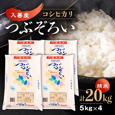 【令和6年産】入善産コシヒカリ20kg