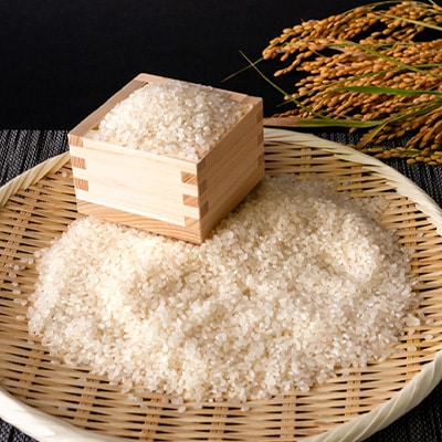 【令和6年産】入善産コシヒカリ20kg