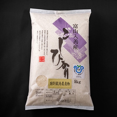 令和5年産　特別栽培米こしひかり　精米5kg