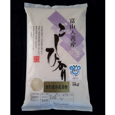 令和4年産 特別栽培米こしひかり 精米5kg