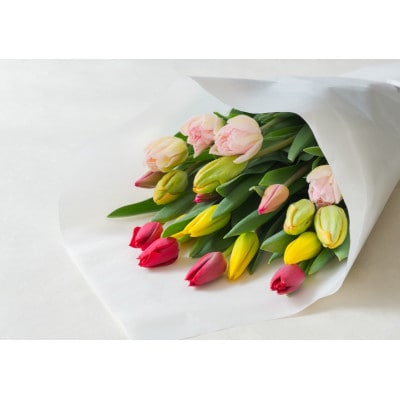 チューリップ花束　20本