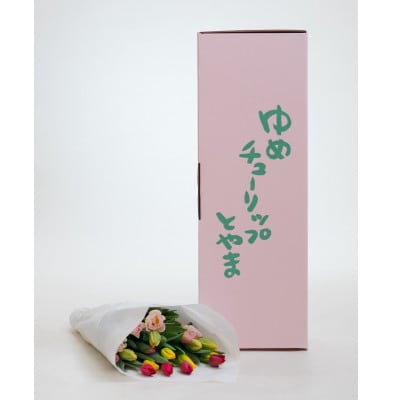 チューリップ花束　20本