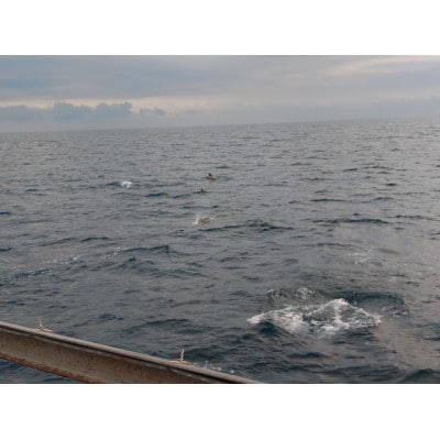 漁船クルーズ2時間コース(4名様分)