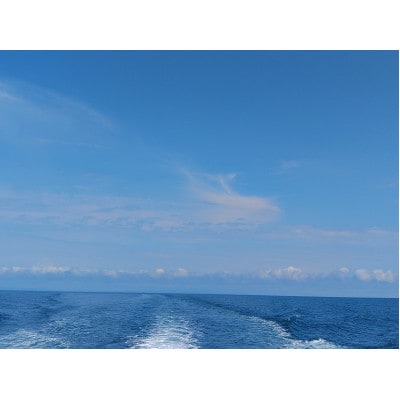 漁船クルーズ2時間コース(4名様分)