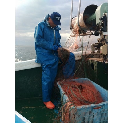 刺し網漁業体験(4名様分)