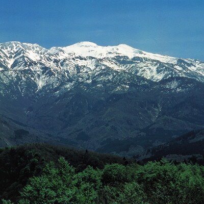 GI白山菊酒セット 4銘柄