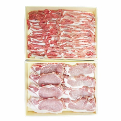 能登豚詰め合わせ　ロース　しゃぶしゃぶ用　1kg、テキカツ用　1kg(125g×8枚)　_22401