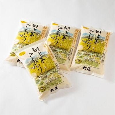 【毎月定期便】白山市産 六星の特上米こしひかり 5kg 全4回