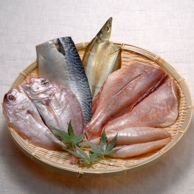 能登いしる干し(5枚入り)_23058