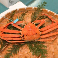 ふるさと納税返礼品、加能ガニ一覧へ