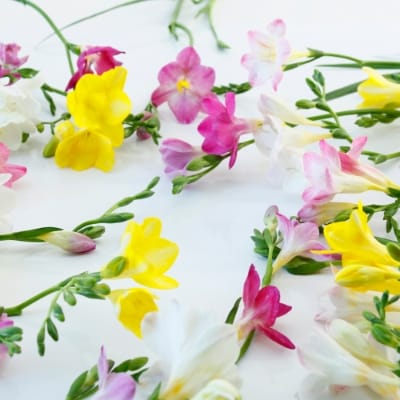 エアリーフローラの花束(大)　_22017