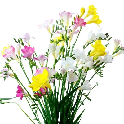 エアリーフローラの花束(小)