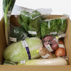 能登野菜おまかせセット　_22404