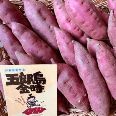 五郎島金時　3kg　_22214