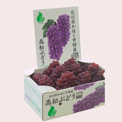高松種なしぶどう　_22221
