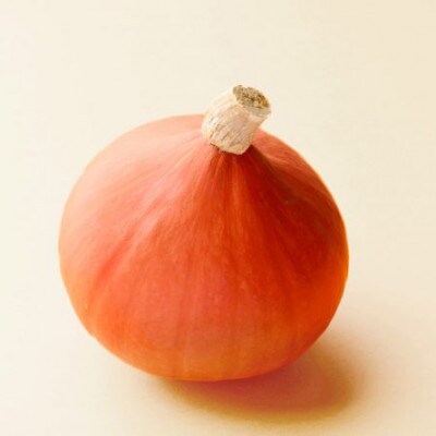旬を味わう!加賀野菜セット　_22278