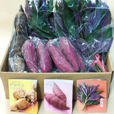 石川県産の人気野菜　贅沢詰め合わせ(夏秋)　_22292