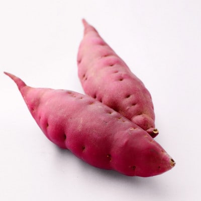 石川県産の人気野菜　贅沢詰め合わせ(夏秋)　_22292