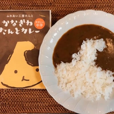 ふれあい工房たんとのレトルトカレーセット　_23045