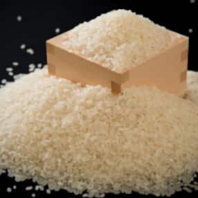 令和5年産 羽咋市産 コシヒカリ 羽咋米(白米) 5kg