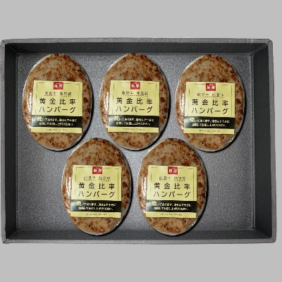 てらおか風舎の黄金比率ハンバーグ　5個入　_22041
