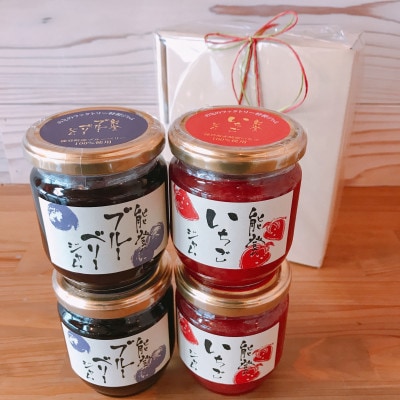 能登町特産品ジャムセット　4個入　_22395