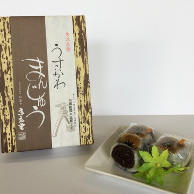 末広堂のうすかわまんじゅうと砂糖を使わないきんつば　_22429