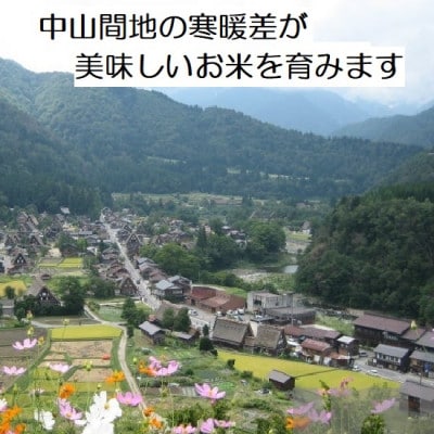 能登町産　特別栽培米　能登コシヒカリ(玄米)　5kg×2袋　_26012