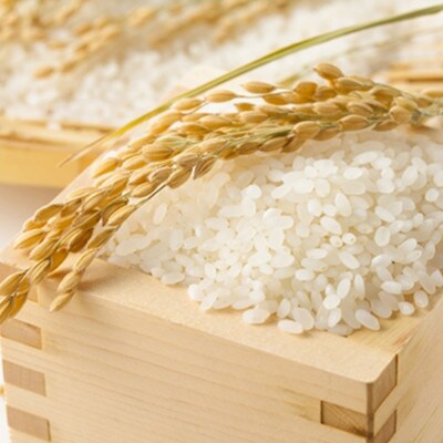 能登町産　特別栽培米　能登コシヒカリ(精米)　5kg　_26013