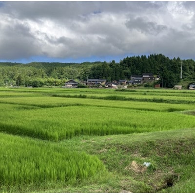 能登町産　特別栽培米　能登コシヒカリ(精米)　5kg　_26013