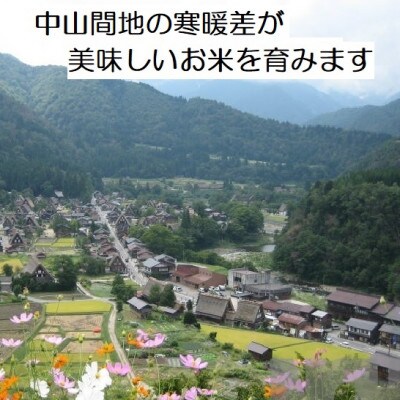 能登町産　特別栽培米　能登コシヒカリ(精米)　5kg　_26013