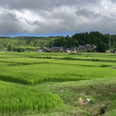 能登町産　特別栽培米　能登コシヒカリ(精米)　5kg×2袋　_26014