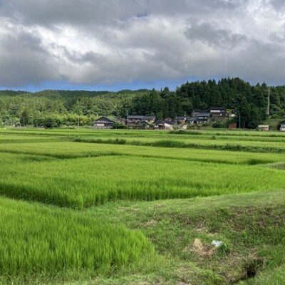 能登町産　特別栽培米　能登コシヒカリ(無洗米)　5kg×2袋　_26016