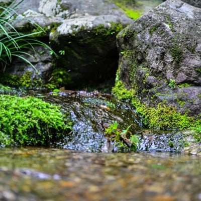 能登町産　特別栽培米　能登コシヒカリ(無洗米)　5kg　_26015