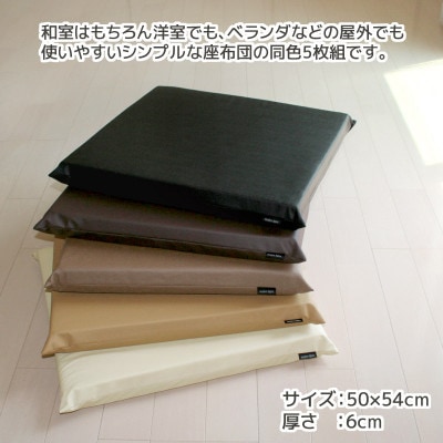 座布団 合皮レザー 5枚組 固形チップウレタン入り_カフェオレベージュ【G0476】
